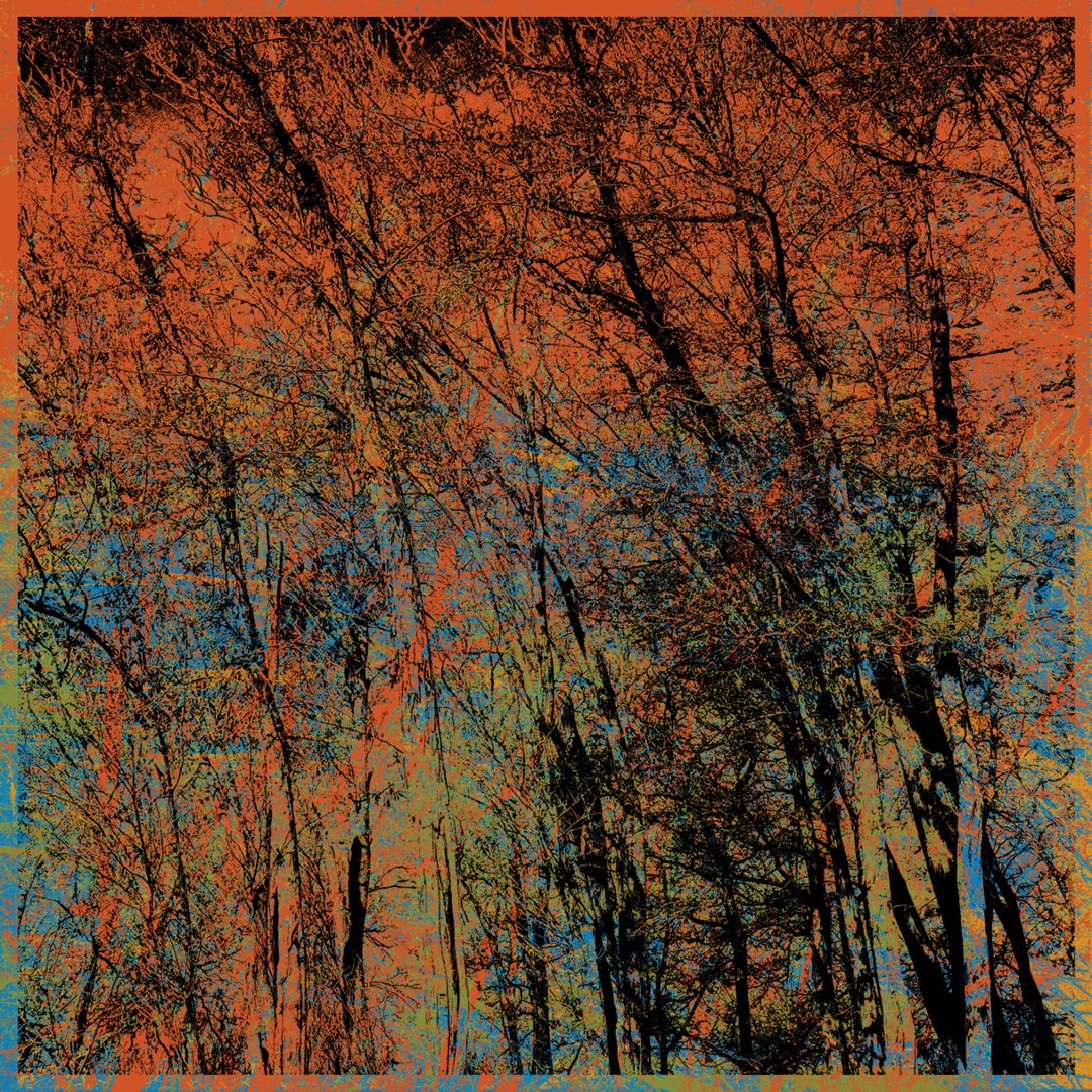 Kara Forest -c