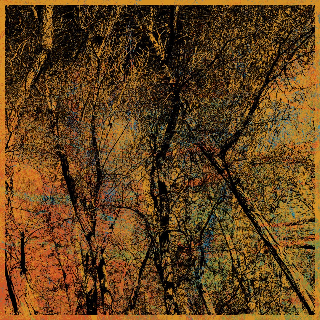 Kara Forest -b
