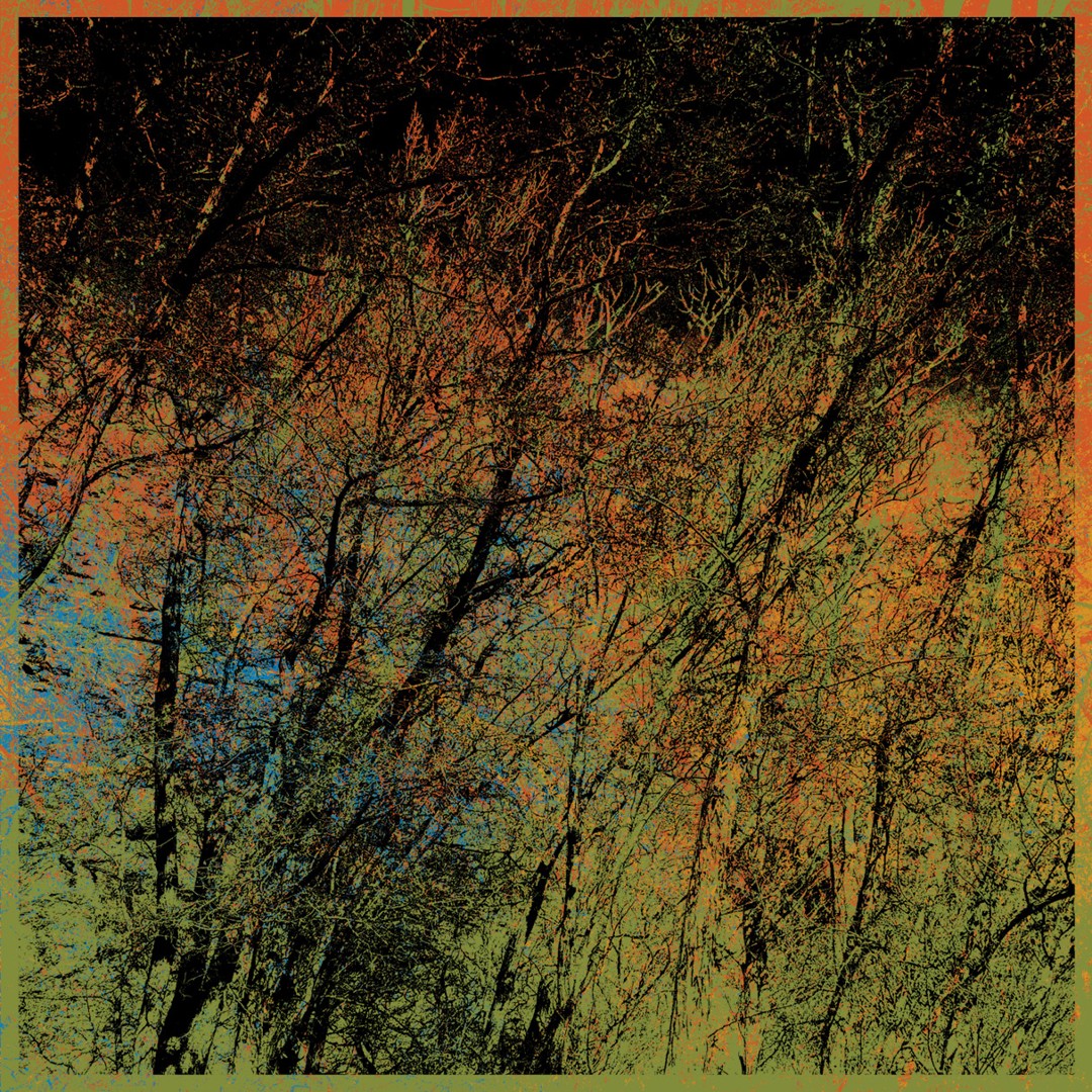 Kara Forest -a