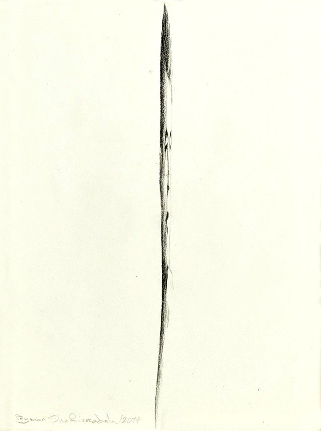 Untitled From "The Negative Posi-tive space" series